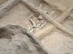 -洛阳周王城天子驾六博物馆