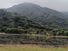 -风云岭森林公园