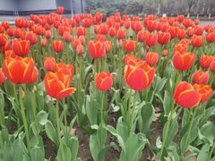 -万达广场(南京建邺店)