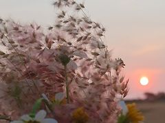 -白沙门生态公园