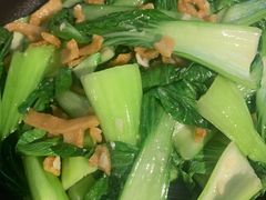 油渣青菜-boundaries籬苑(瑞光创意工厂-贰号院店)