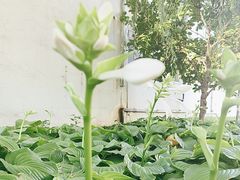 -北京香颂1期-下沉广场