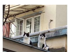 -西安市第七十中学
