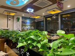大堂-313羊庄·羊肉火锅烧烤(李村店)
