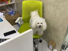 -博特宠物医院24h犬猫全科.骨科·异宠