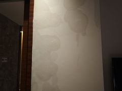 -河源万绿湖美思威尔顿酒店