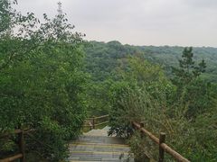 -大青沟风景区
