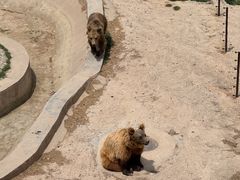 -青藏高原野生动物园
