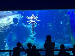 -多彩贵州城极地海洋世界