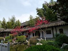 -梅园