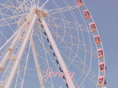 -顾村公园