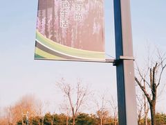 -东郊湿地公园