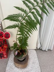 -太乙康·中式美养空间