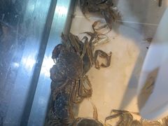 -圣罗巴海鲜烤肉自助(佳兆业店)