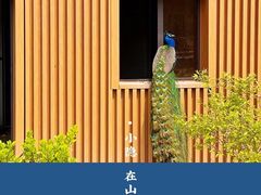 -太原动物园