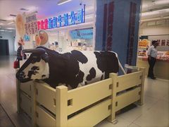 -红星前进面包牛奶公司(君太店)