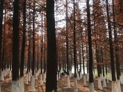 -艾溪湖湿地公园