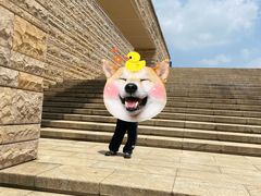 -盘龙城遗址博物院