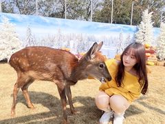 -盈香心动乐园