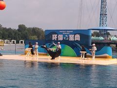 -秦皇岛乐岛海洋王国