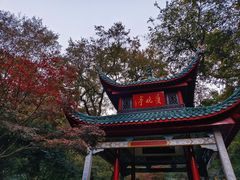 -岳麓山风景名胜区