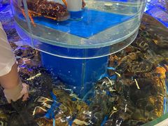 水产区-新海渔港·胶东海鲜家常菜·家宴(奥体中心店)