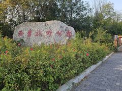 -西青郊野公园