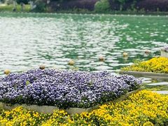 -天鹅湖体育公园