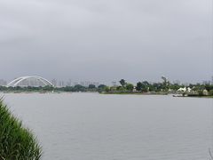 -九龙湖公园
