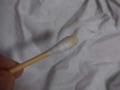 -瑞派·关忠动物医院·异宠专科·犬猫肿瘤·皮肤专科(望京店)