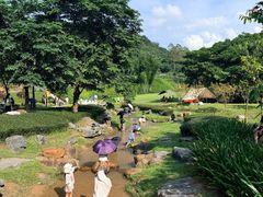 -黄埔油麻山森林公园