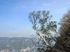 -神农山景区