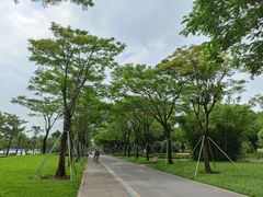 -顺峰山公园