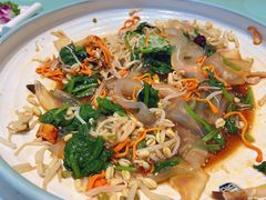 五彩拉皮-添福来墨鱼饺子 · 海鲜东北菜(大连星海·黄浦路店)