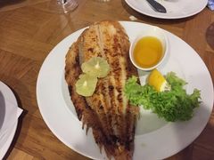 -NORDSEE Frankfurt Fisch Franke
