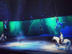 -cavalia·舞马