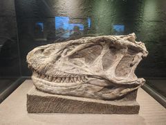 -自贡恐龙博物馆