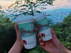 -茶颜悦色(岳麓山顶店)