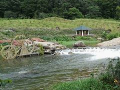 -广州市石门国家森林公园