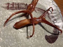 -新興传承烤鸭