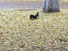 -中国建设银行哈尔滨培训中心