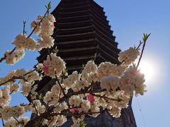 -玲珑塔公园