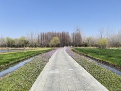 -溱湖国家湿地公园