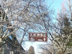 -鸡鸣寺