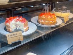 -Wagas沃歌斯(虹桥机场T1店)