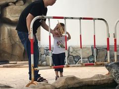 -芜湖新华联大白鲸海洋公园