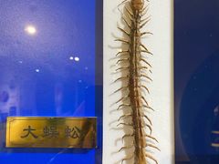 -上海昆虫博物馆