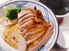 金牌鹅肉饭-陈鹏鹏潮汕菜(宝安机场T3航站楼店)