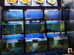 -老东镇啤酒屋海鲜加工·蒸汽海鲜·海鲜烧烤(台东店)