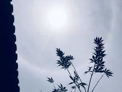 -巡塘古镇